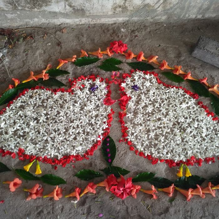 A large butterfly rangoli with wings densely filled with white jasmine flowers, edged in red petals and surrounded by orange trumpet flowers and green leaves