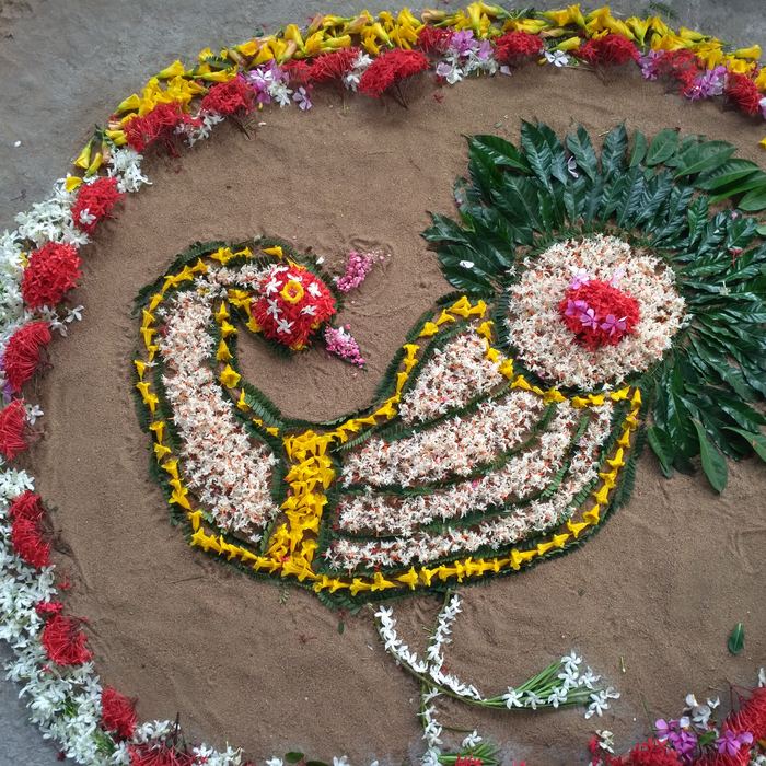 A peacock rangoli made of white and red flowers on a circle of river sand, ringed by a border of red, white and yellow blooms